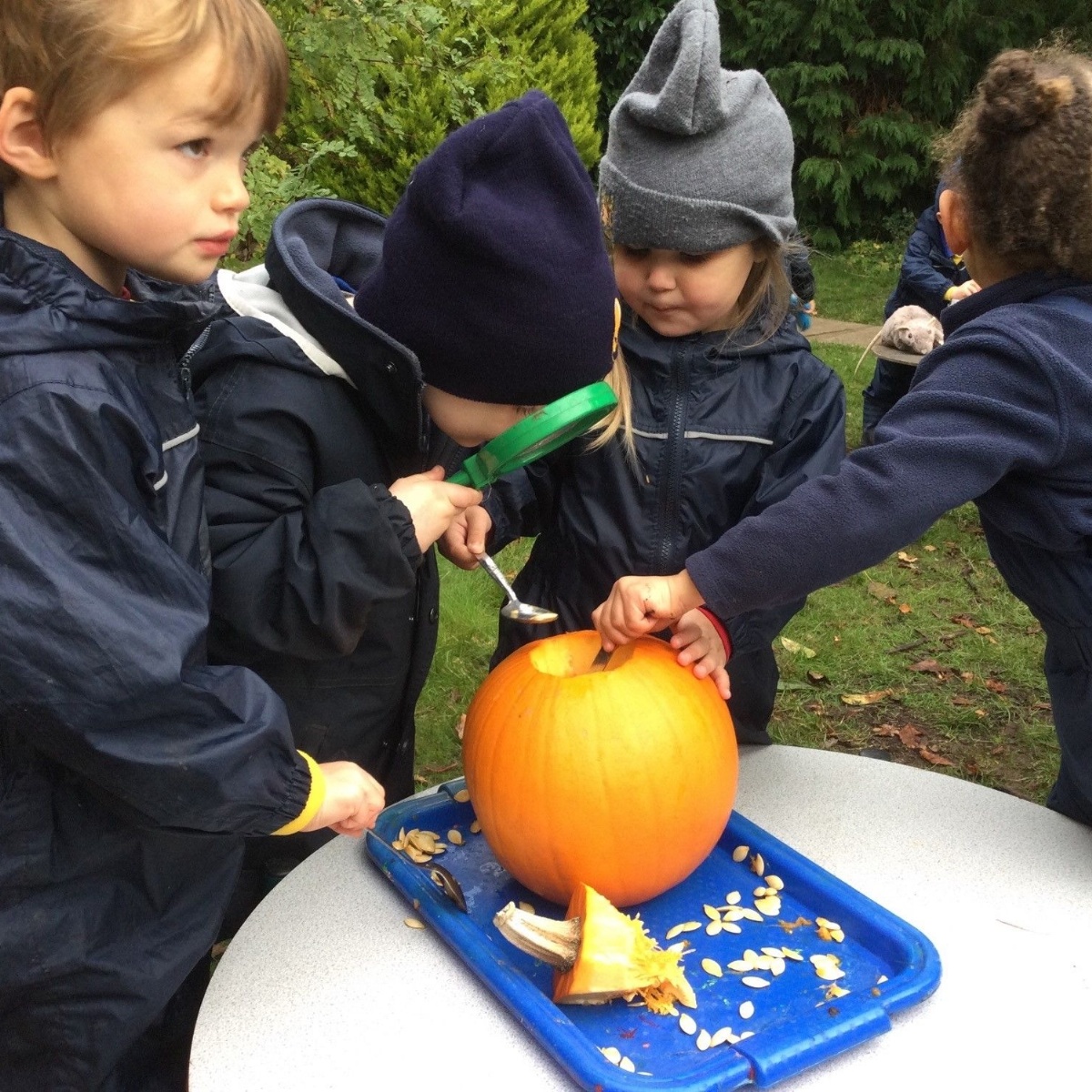 Warwick Preparatory School - Autumn at Forest School